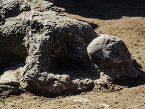 Kisah Legenda Malin Kundang dari Sumatera Barat Beserta Pesan Moralnya