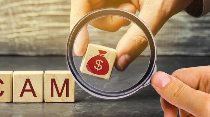 Ilustrasi Scam