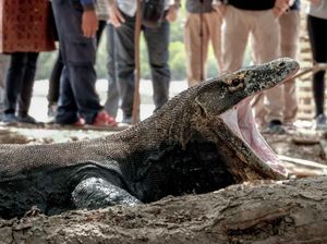 DPR Mau Panggil Sandiaga Bahas Kenaikan Tiket Komodo