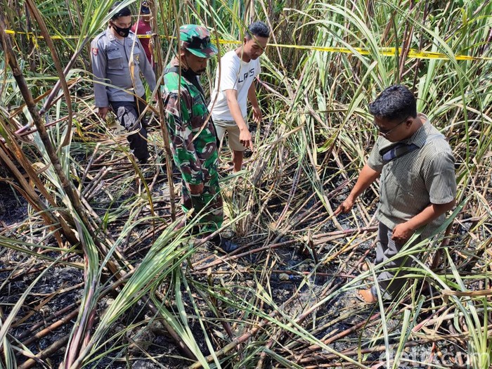 Ladang tebu TKP lansia di Blitar tewas terbakar