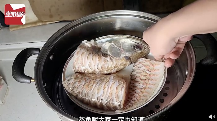 Pria Ini Nekat Santap Ikan Arwana Peliharaannya Seharga Rp 67 Juta