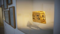 Melansir laman elektronik memorialdelashoah.org, Shoah yang menjadi nama museum ini merupakan kata dalam bahasa Ibrani yang berarti bencana. Kata tersebut dipilih untuk menggambarkan genosida orang Yahudi yang dilakukan Nazi selama Perang Dunia II.