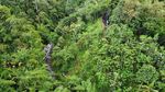 Penampakan Mobil Wisatawan yang Masuk Jurang di Jalur Ijen