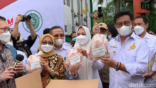 Perdana! RI Ekspor 50 Ton Ayam Beku ke Singapura