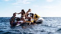 Sinopsis Shark Bait di Bioskop Trans TV Hari Ini