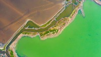 Lalu, bagaimana warna-warni indah yang membuat danau ini begitu populer di kalangan fotografer? Mereka ada hubungannya dengan spesies hewan dan tumbuhan yang hidup di air.