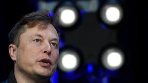 Walhi cs Kirim Surat ke Elon Musk, Larang Investasi di Indonesia!