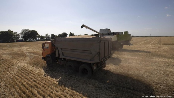 Larangan Eskpor India Memaksa Bangladesh Beli Gandum dari Rusia