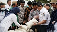 Riza menuturkan, panen ini sekaligus membuktikan DKI Jakarta juga berupaya menyiapkan ketersediaan beras meski bukan termasuk daerah swasembada pangan.
