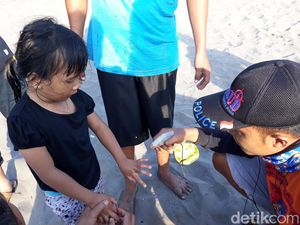 Aduh! Wisatawan Pantai Parangtritis Banyak yang Disengat Ubur-ubur