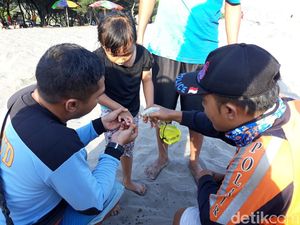 Tak Perlu Panik, Ini Cara Mengatasi Sengatan Ubur-ubur