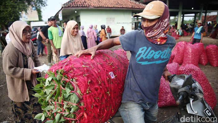 Bagi Petani Cabai Rawit Tak Sepedas Rasanya Petani cabai rawit di Brebes, Jawa Tengah, mengaku untung besar saat harga cabai rawit hijau meroket. Petani mengaku saat ini dapat menjual cabai rawit hijau sebesar Rp 50 ribu per kilogram.