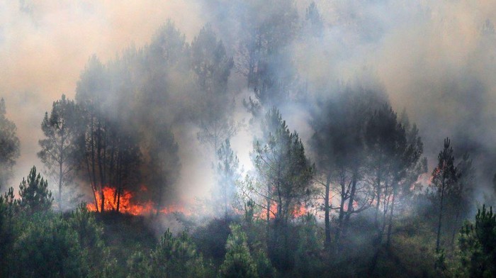A Canadair firefighting aircraft dumps water over a wildfire in Landiras, southwestern France, on July 13, 2022. - Two fires have burned nearly 1,700 hectares of pine trees in Gironde on July 13, forcing the evacuation of 6,000 campers. A heat wave in Western Europe is fuelling wildfires across vast stretches of forestland. (Photo by Laurent THEILLET / various sources / AFP) (Photo by LAURENT THEILLET/AFP via Getty Images)