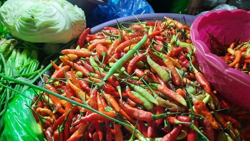 cabai rawit di surabaya