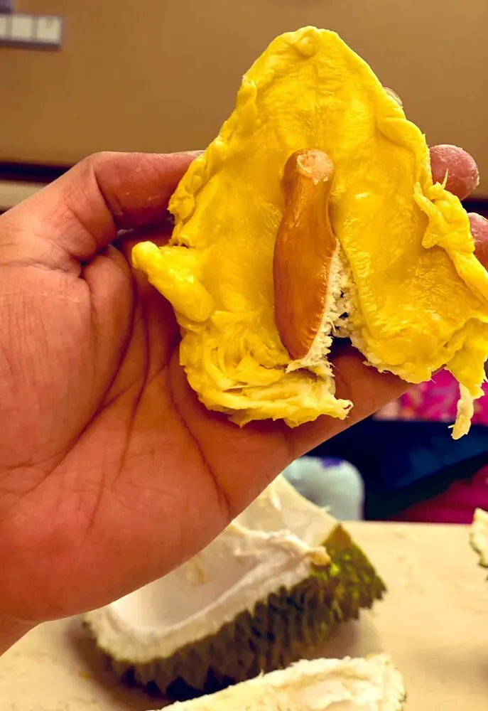 Ciri fisik durian musang king yang populer di Malaysia
