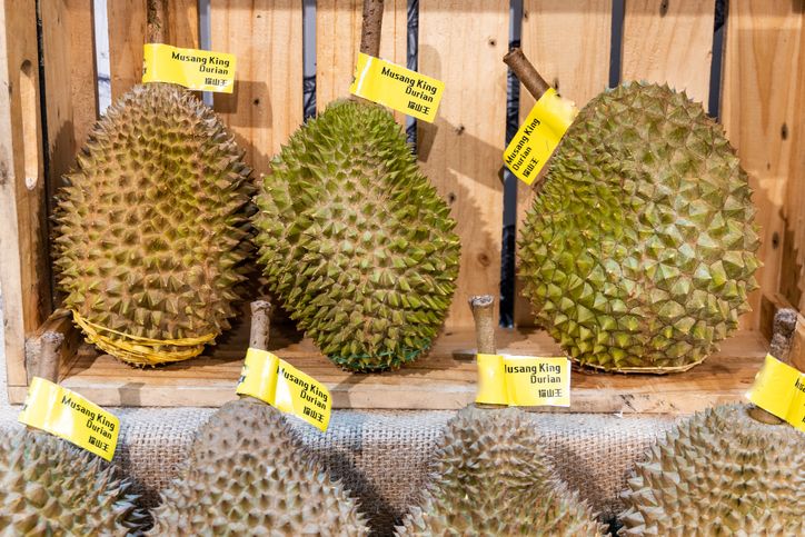 Durian Musang King, salah satu varietas durian unggulan dan populer di Malaysia