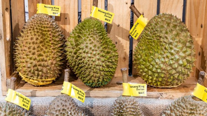 Durian Musang King, salah satu varietas durian unggulan dan populer di Malaysia
