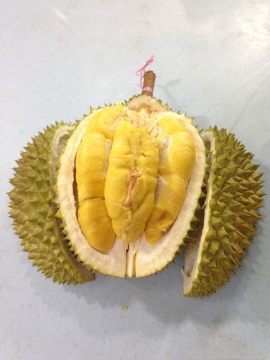 Durian Musang King, salah satu varietas durian unggulan dan populer di Malaysia