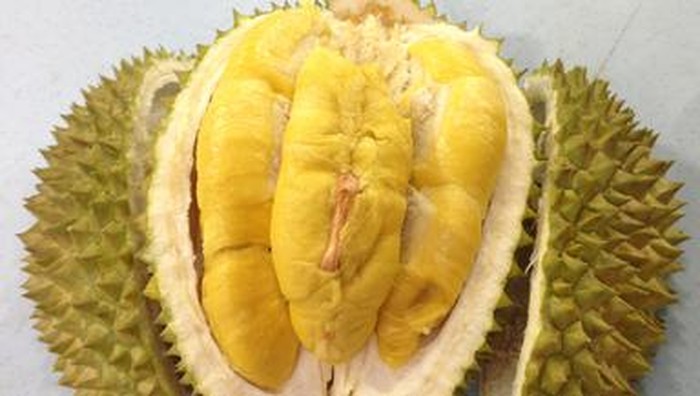 Durian Musang King, salah satu varietas durian unggulan dan populer di Malaysia