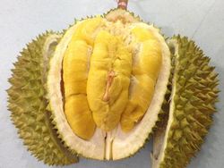 3 Ciri Durian Musang King Asli, Jangan Sampai Tertipu!