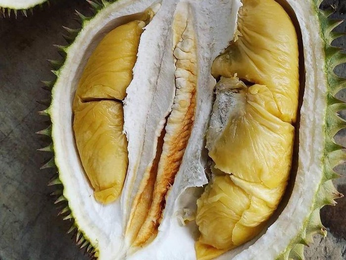 7 Fakta Unik Durian Si Raja Buah, Ada yang Terjual Rp 719 Juta