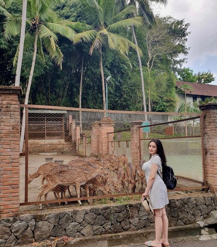Galeri Amanda Zahra Momen Manis Keluarga Amanda Zahra dan Guiddo Ilyasa Saat Kulineran