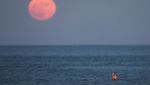 Indahnya Buck Moon, Bulan Purnama Paling Terang Tahun Ini