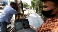 Petugas dari dinas terkait mengukur diameter batang pohon saat pengukuran tingkat kelapukan atau kekeroposan pohon di Jalan Proklamasi, Jakarta Pusat, Kamis (14/7/2022).