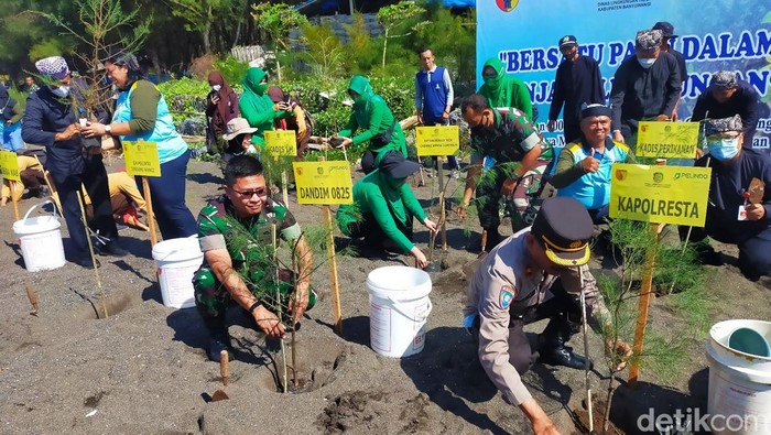 Penanaman Mangrove dan Cemara di pantai Banyuwangi