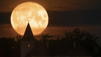 Bulan purnama Rusa terlihat di langit sejumlah negara dunia. Pemandangannya bikin terpana siapa saja yang melihatnya. Tak percaya? Ini fotonya.