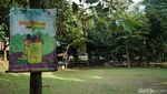 Wisata Murah Meriah di Cipulir, Dulu Ditentang, Kini Disayang