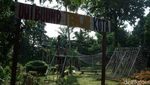 Wisata Murah Meriah di Cipulir, Dulu Ditentang, Kini Disayang