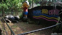 Keberadaan Kampung Cipulir ini membawa berkah bagi warga sekitar. Banyak warga yang membuka warung di depan rumahnya.