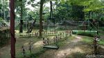 Wisata Murah Meriah di Cipulir, Dulu Ditentang, Kini Disayang