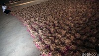 Hamparan bawang siap dikirim di salah satu gudang pengepul di Kabupaten Brebes.