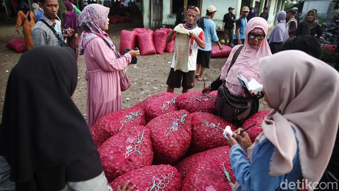 Semringah Petani Bawang Ditengah Lonjakan Harga Brebes dikenal sebagai daerah penghasil bawang merah. Bawang merah lah napas bagi kehidupan warganya, di tengah harganya yang melambung, berapa sebenarnya harga di petani?