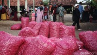 Seorang pengepul besar menuturkan harga bawang merah sudah tinggi sejak dijual petani karena rendahnya produksi.