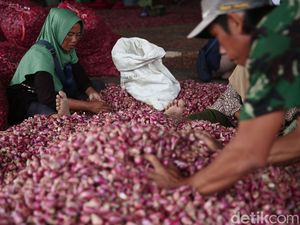 Harga Ayam Broiler-Bawang Merah di Denpasar Berangsur Turun