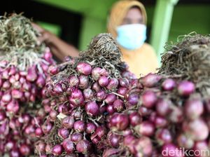 Harga Pangan di Denpasar Hari Ini: Bawang Merah Rp 24 Ribu