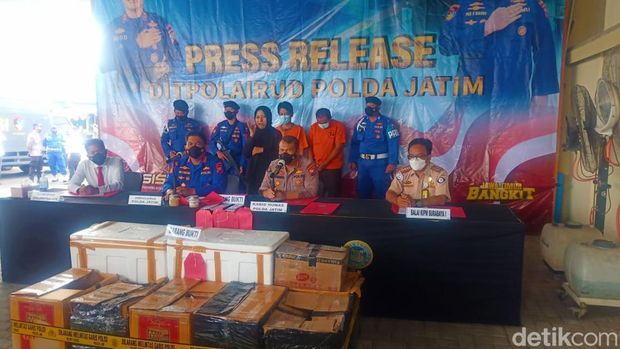 Ungkap kasus penyelundupan benih lobster di Tulungagung, di Ditpolairud Polda Jatim di Surabaya