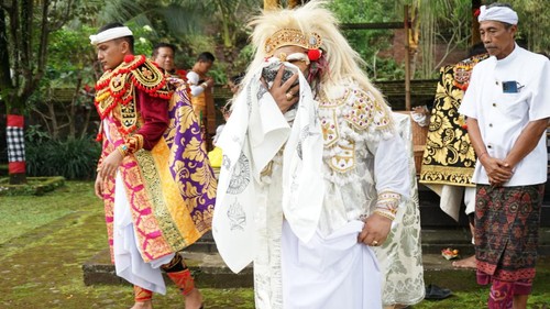 Wagub Cok Ace ngayah nopeng