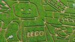 Ini Dia Labirin Lego Terbesar di Dunia