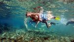 Ada Taman Arkeologi Bawah Laut di Siprus, Begini Penampakannya