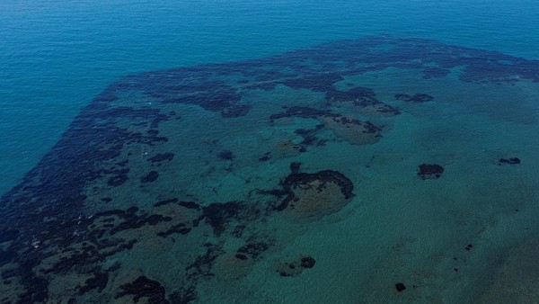 Taman arkeologi bawah laut itu berada di area pelabuhan kuno Amathus yang berada di Limmasol, Siprus.