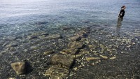 Diperkirakan pelabuhan itu dibangun sebagai pangkalan angkatan laut karena pintu masuknya yang sempit. Meski begitu, para ahli mengatakan penggunaan pelabuhan untuk keperluan komersial gabungan juga tidak dapat diabaikan.
