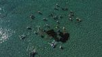 Ada Taman Arkeologi Bawah Laut di Siprus, Begini Penampakannya