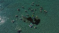 Pelabuhan itu bahkan disebut sebagai salah satu pelabuhan kuno yang paling terpelihara di timur Mediterania. 