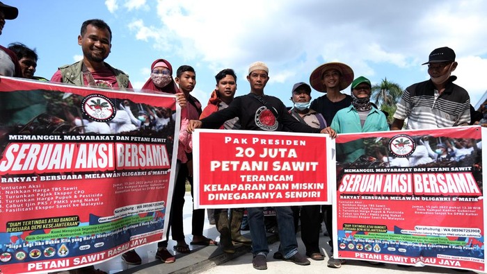 AKSI PETANI SAWIT DI KALBAR Sejumlah petani sawit Kalimantan Barat berunjuk rasa di Kantor Gubernur Kalimantan Barat di Pontianak, Jumat (15/7/2022). Mereka menuntut pemerintah untuk menaikkan harga Tandan Buah Segar (TBS) sawit, menurunkan pajak ekspor Crude Palm Oil (CPO) atau minyak sawit mentah, menurunkan harga pupuk dan pestisida, mencabut ijin Pabrik Kelapa Sawit yang curang dan memfasilitasi ekspor sawit ke Malaysia. ANTARA FOTO/Jessica Helena Wuysang/foc.
