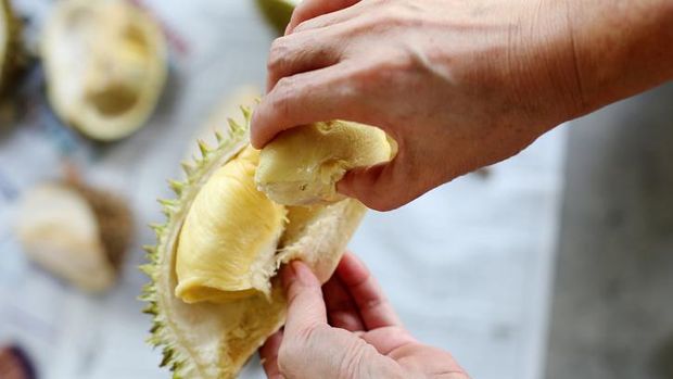 Aroma durian yang tajam