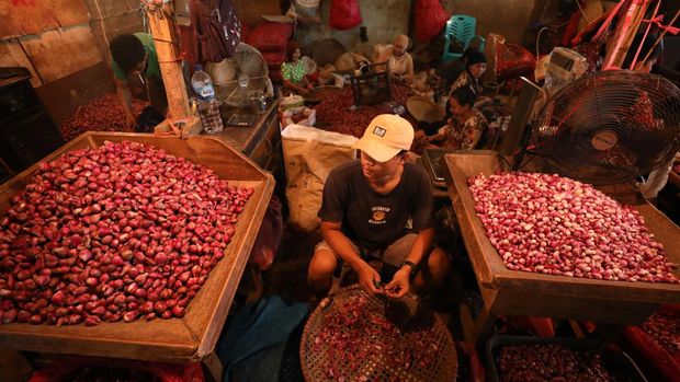 Bawang Merah (CNBC Indonesia/Tri Susilo)